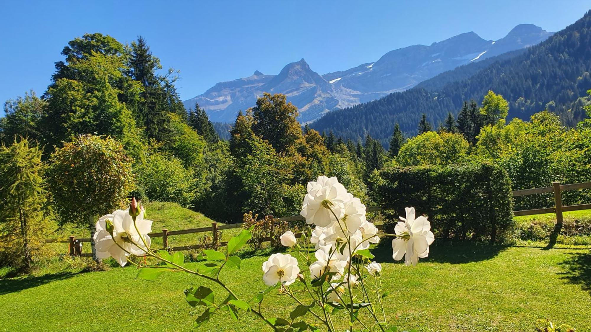 B&B Chalet La Croisee Vers L'Eglise Bagian luar foto